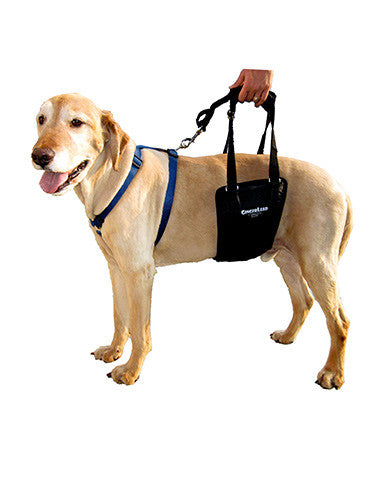 Dog Support Harness Sling